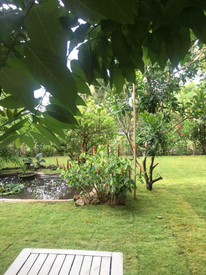 فندق Le Jardin D'Alice بهان ثيت المظهر الخارجي الصورة